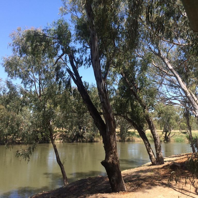 Отель Wagga Wagga Beach Caravan Park Номер фото